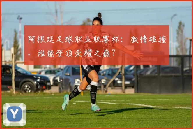 阿根廷足球职业联赛杯：激情碰撞，谁能登顶荣耀之巅？