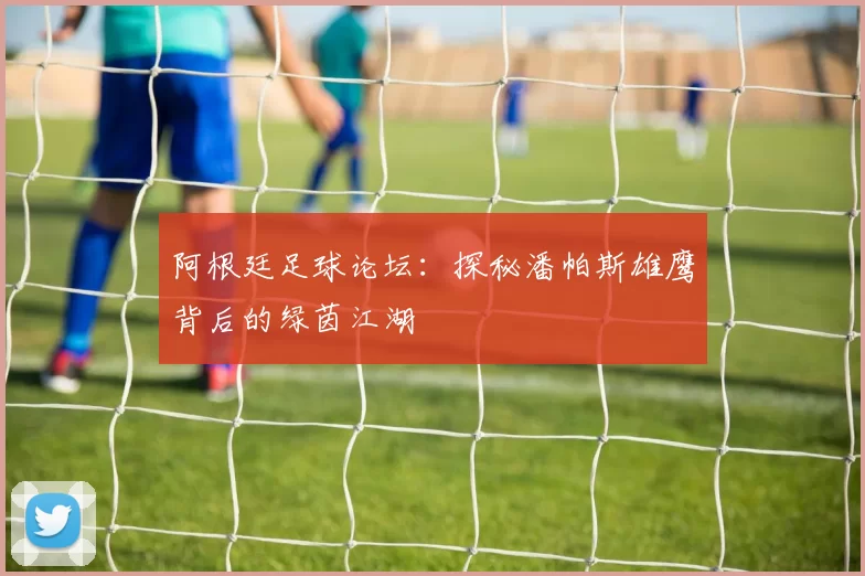 阿根廷足球论坛：探秘潘帕斯雄鹰背后的绿茵江湖