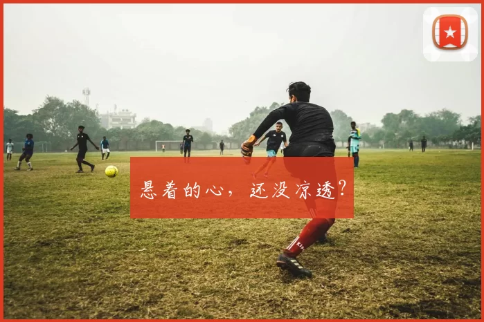 悬着的心，还没凉透？