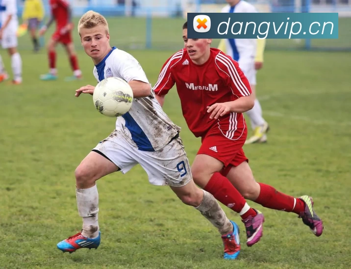 多媒体互动体验